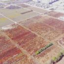 풍덕지구공인중개사사무소 이미지