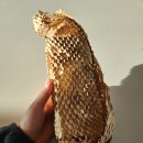 하나린 헤어 네이버블로그