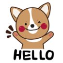 와이드비스