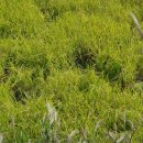 수백농장 이미지