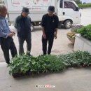 김종현 농장 이미지