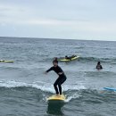 양양중학교 이미지