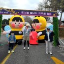 김제체육관 | 김제)2025 김제 꽃빛드리 축제 다녀온 후기