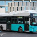 비고리조트 16 이미지