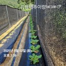 대건2농장 이미지