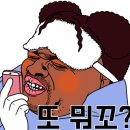 용문감성펜션 이미지