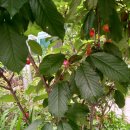 은지가든 이미지