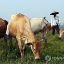 정열축산