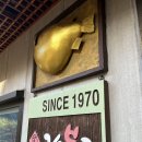 원재복어 이미지