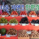 예천공설운동장 이미지