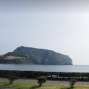 부동산코리아공인중개사사무소 이미지