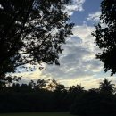 THE GARAGE | 여행 DAY1. 보타닉가든 / Bee's Knees at the Garage / 마리나베이샌즈몰 샤넬 / 블랙탭 / 사테거리