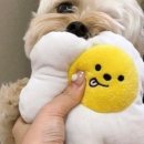 에그인형 놀기 이미지