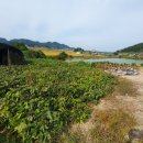 검산제 이미지