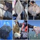 영산로 284 이미지