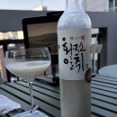 일취 | [화전일취 탁주] 막걸리 편견 깬 화전일취 탁주! 네이버스마트스토어 내돈내산 솔직 후기