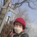 2021.12.16.수원둘레길7:망포역~세류역