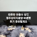 강아지분양 더펫 | 따뜻한 마음이 담긴 청주강아지분양 바른펫 후기 공유할게요