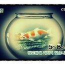 코이 - 용산구 이촌로 300 | 코이