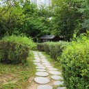 파인애플세탁소 이미지