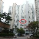 명수당약국 Daum카페