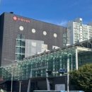 모녀청과 이미지