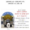 동일농장 이미지