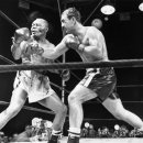 부산복싱클럽 이미지