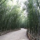 십리대밭 산책로 화장실 | 울산 태화강 국가정원 십리대숲 산책｜대나무 사이로 천천히 걷는 여름길