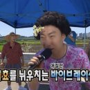 피앙새 이미지