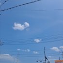 세포보건진료소 이미지