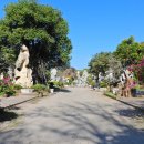 백조농장(2) 이미지