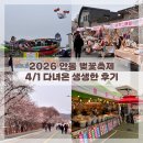 팡팡게임장 | 2026 안동 벚꽃축제 모든 것일정 주차 및 푸드트럭 종류