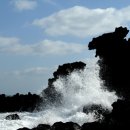 혼저옵서멍 이미지