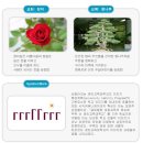 경인교육대학교부설초등학교 이미지