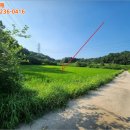 여주-1085 이미지