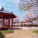 야촌경로당 네이버블로그