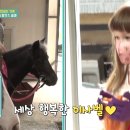 투어마니아 이미지