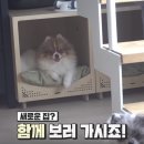 섭이하우스 이미지