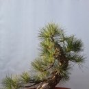 해송4로 이미지