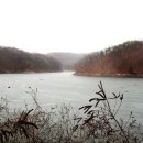 맹동낚시터 이미지