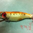 낚시의고수 이미지