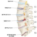 더디스크 이미지