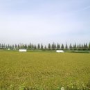 대추리길 이미지