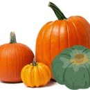 자세교정 필라테스 이미지