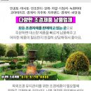 정우골재 이미지