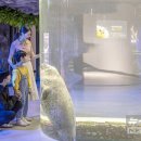 아쿠아플라넷 여수 이미지