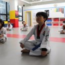 경희대 에이스 태권도 이미지