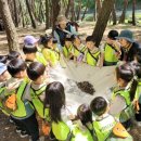 아카데미유치원 이미지