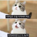 필세차장 이미지